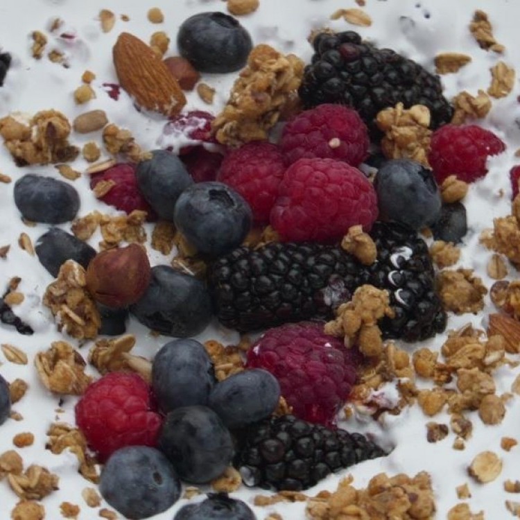 زبادي يوناني بالتوت