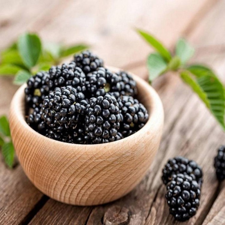 فوائد التوت الأسود