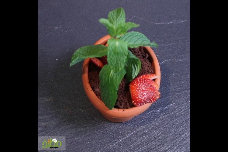 حلى موس الفراولة مع كيك الشوكولاتة خطوة بخطوة بالصور