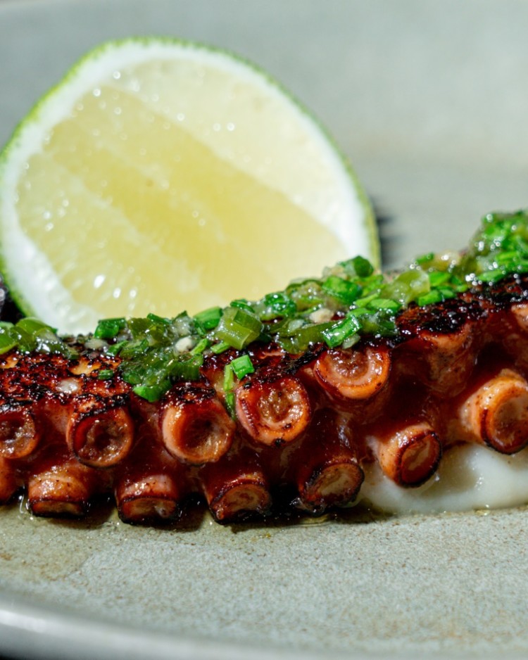 أخطبوط مشوي مع بوريه الخرشوف