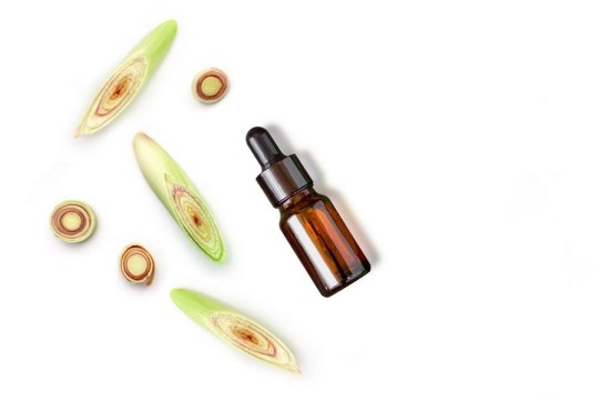 طرق سريعة للقضاء على حشرات المطبخ