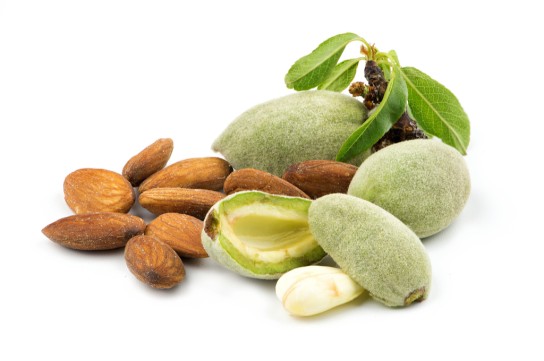 فوائد خارقة لتناول اللوز الأخضر
