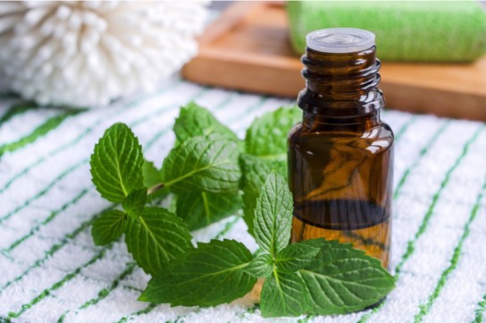 طرق محاربة النمل في البيت
