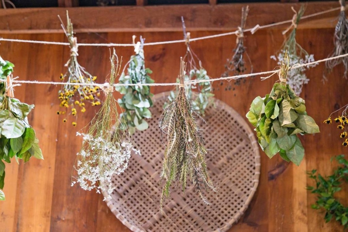 طرق تجفيف الأعشاب في المنزل