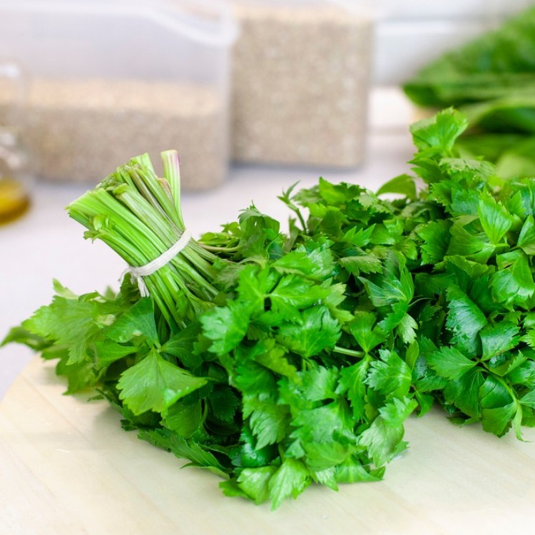 طريقة تجفيف الكزبرة لاستخدامها طوال السنة