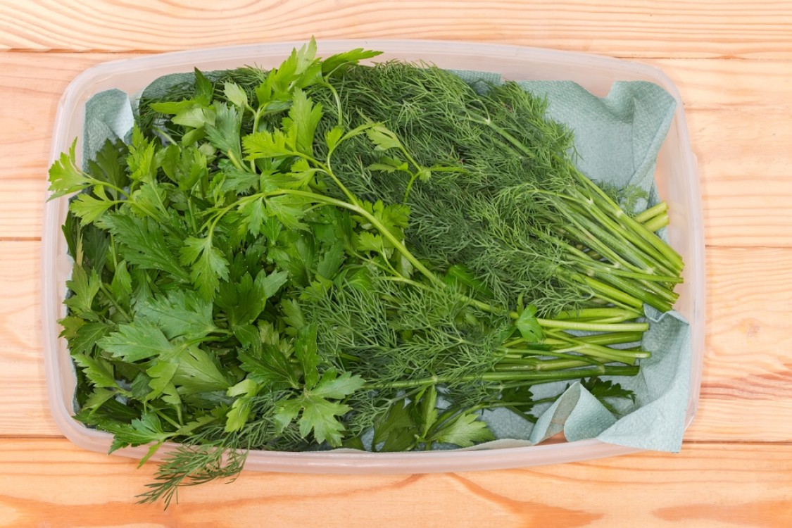 طرق حفظ الورقيات بالثلاجة لمدة أطول