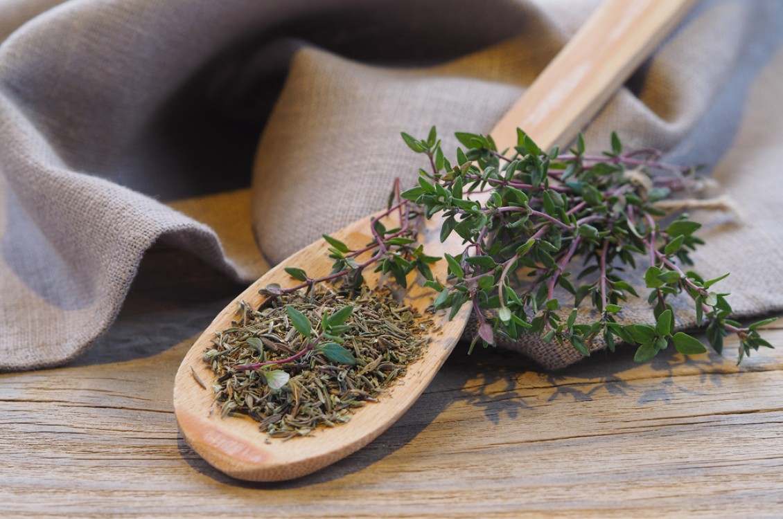 طرق حفظ الزعتر الأخضر